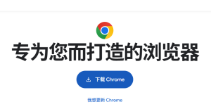 Chrome 浏览器